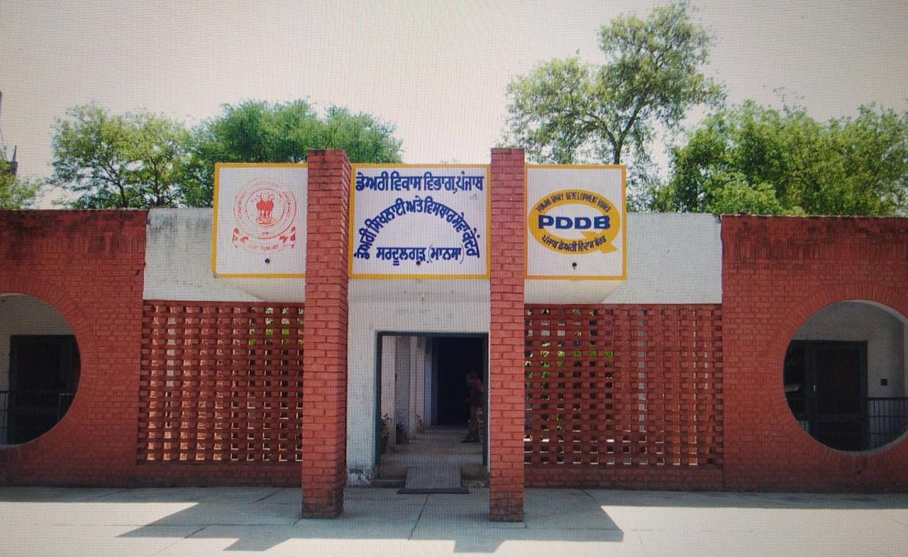 PUNJAB DAIRY DEVELOPMENT BOARD PDDB PUNJAB